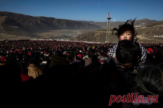 Bliss Dharma Assembly - The Boston Globe