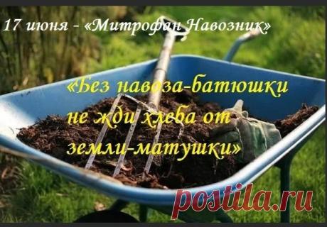 Поздравляю с Митрофановым днем! Пусть земля будет плодородной, труды приносят отличные плоды, а в сердце и семье всегда цветут мир и гармония. Открытки на Митрофан Навозник (Митрофанов День)!