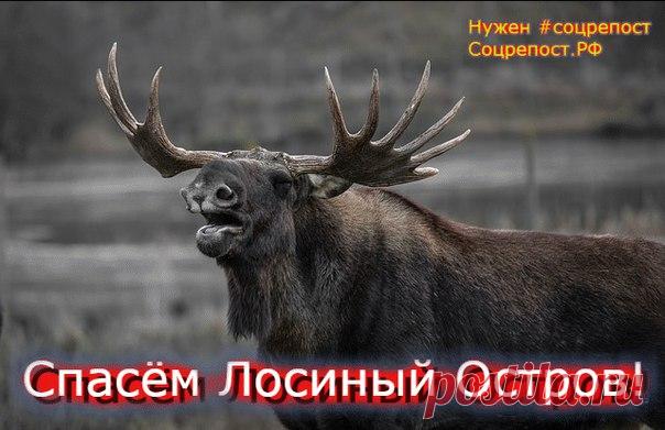 Спасём Лосиный Остров!

https://vk.com/wall-151939839_15 

https://vk.com/videos-151948838?section=album_2