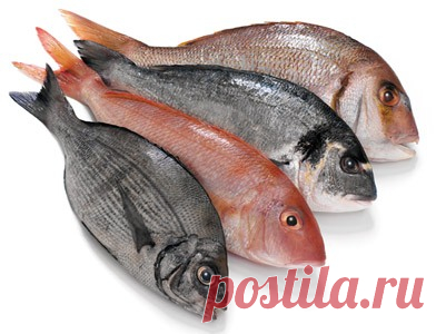 Техника разделки продуктов. Рыба. (Закулисные секреты)