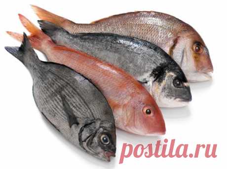 Техника разделки продуктов. Рыба. (Закулисные секреты)