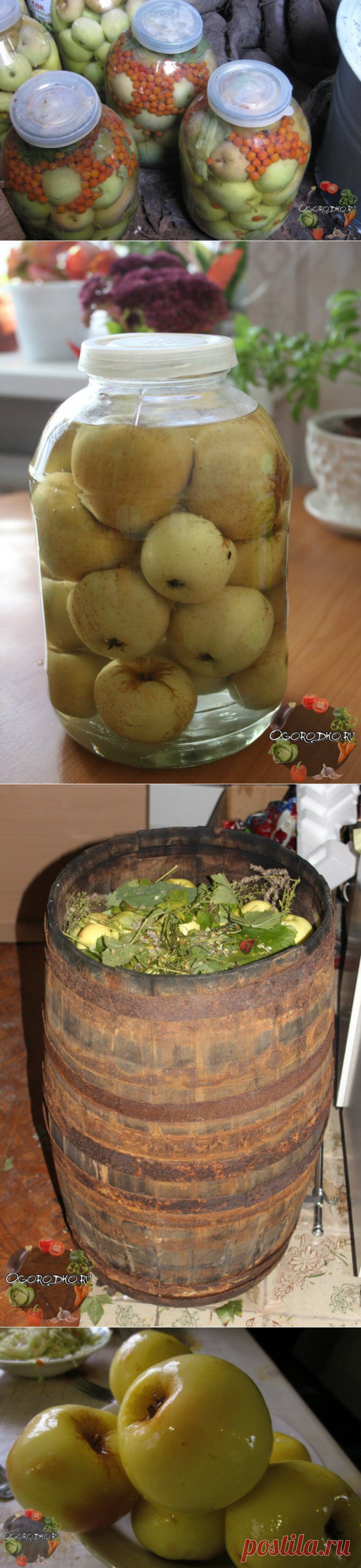 Моченые яблоки – вкусный десерт + фото
