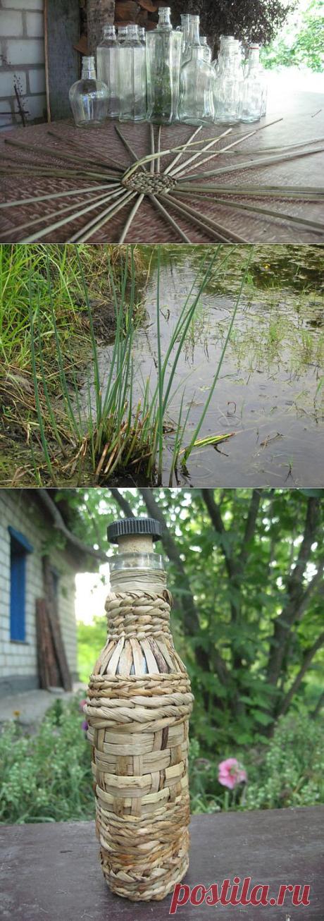 Пора заготавливать камыш для плетения..