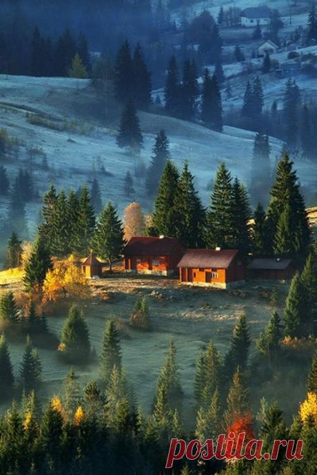 First Frost, Carpathian Mountains | U K R A I N E
