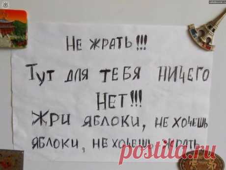 13 Веселых Записок На Холодильниках, Которые Диктуют Как Жить | Лучшие истории со всего мира