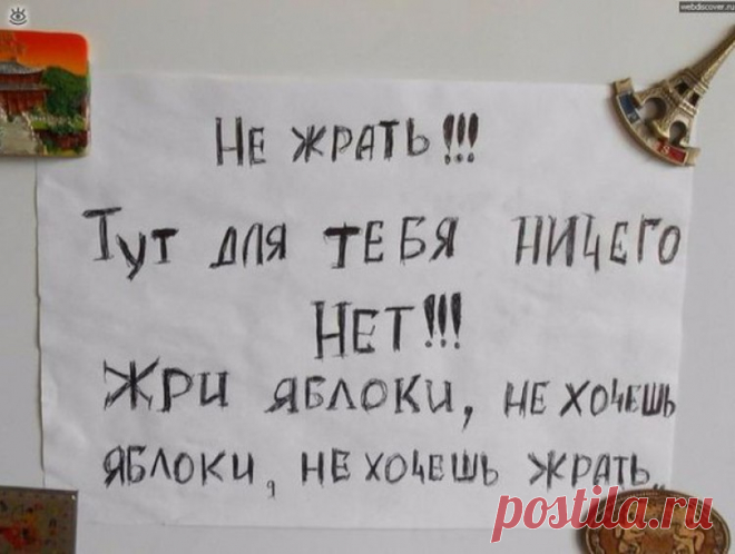 13 Веселых Записок На Холодильниках, Которые Диктуют Как Жить | Лучшие истории со всего мира