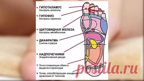 7 АКТИВНЫХ ТОЧЕК НА СТОПЕ ВЕРНУТ ВАС К ЖИЗНИ!