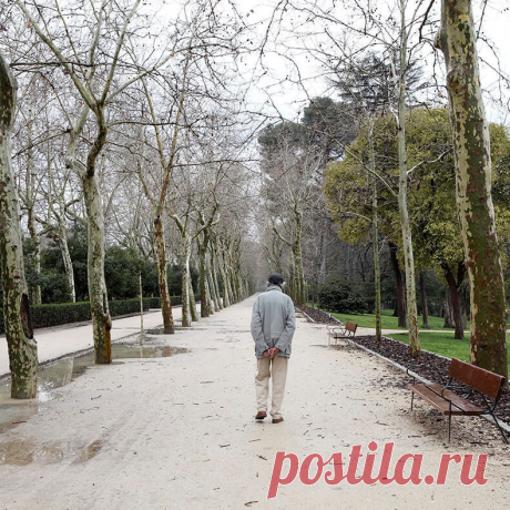 Клинический психолог: что происходит с нами с возрастом