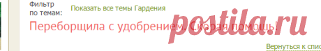 Переборщила с удобрением. Скорая помощь! - Форум - Гардения жасминовидная - Гардения - Красивоцветущие растения - Комнатные растения - GreenInfo.ru