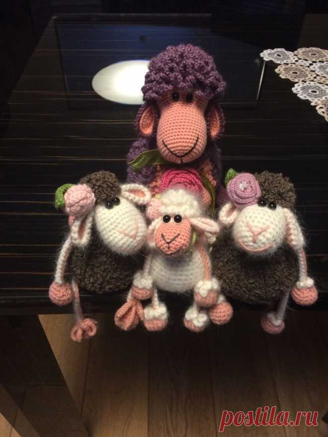 овечки