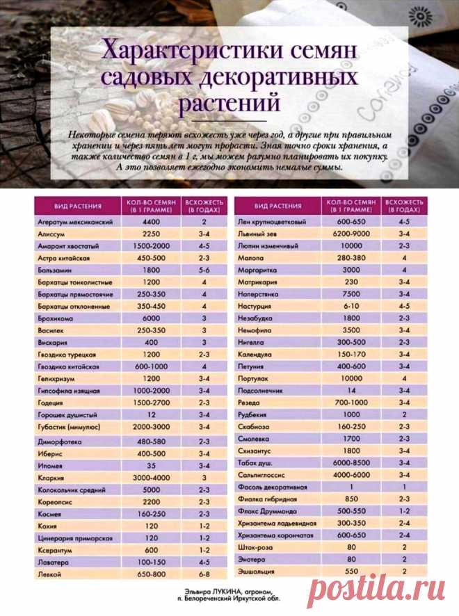 Характеристики семян садовых декоративных растений