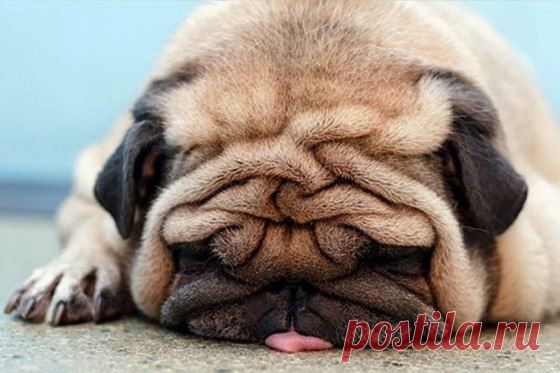 Фотографии на стене сообщества | 9 747 фотографий