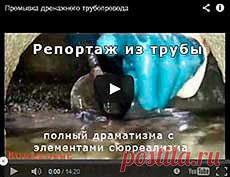 Видеорепортаж из канализационной трубы