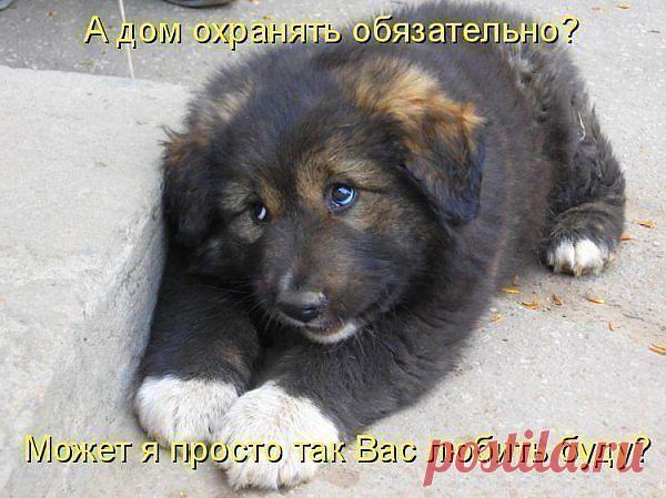 Молодо-зелено...