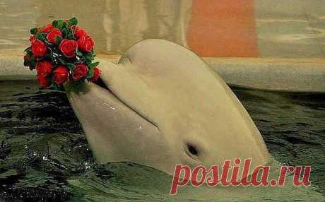 Мой Мир@Mail.Ru