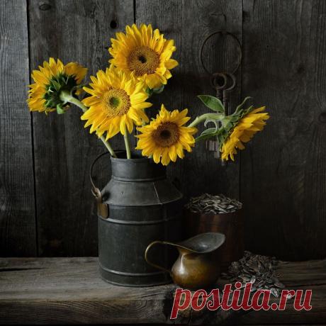 Фотография *** из раздела натюрморт №5755821 - фото.сайт - Photosight.ru