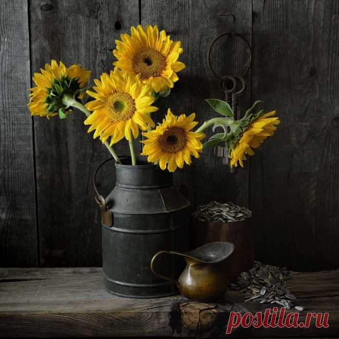 Фотография *** из раздела натюрморт №5755821 - фото.сайт - Photosight.ru