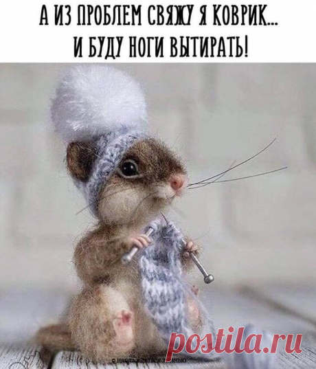 Время позитива — 20 самых веселых фразочек с просторов Сети Улыбаться — жизненно важно — и для физического, и для морального здоровья! По-этому мы с завидной регулярностью собираем для Вас свежие порции юмора на просторах Интернета .И мы искренне надеемся, что дарим Вам хорошее настроение и жизнерадостный настрой!