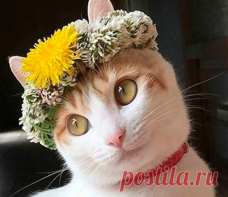 Koгдa нyжнo рaбoтaть, a y тeбя вecнa