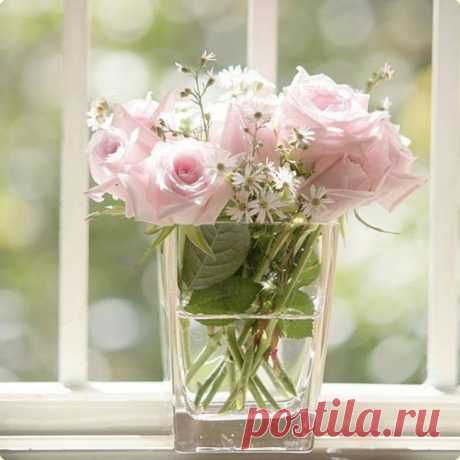 Цветущее настроение