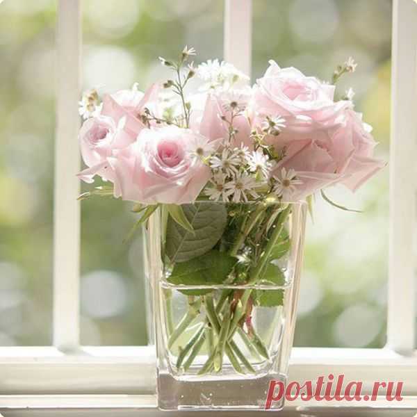 Цветущее настроение