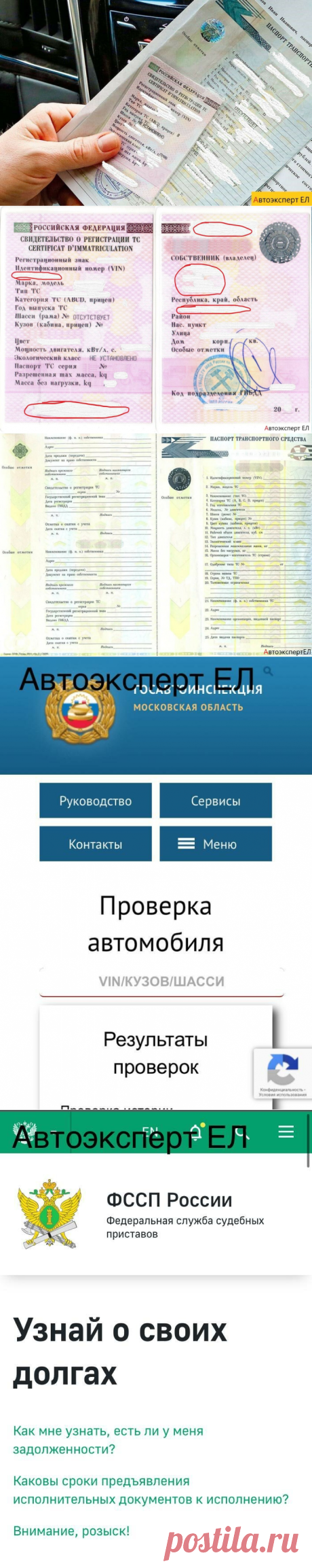 Как проверить документы и не попасться на удочку мошенников)! | Автоэксперт ЕЛ | Яндекс Дзен
