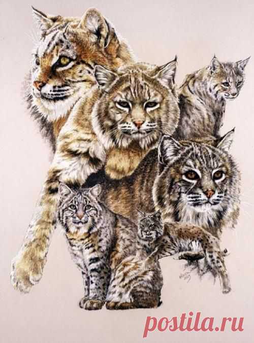 Художник Barbara Keith