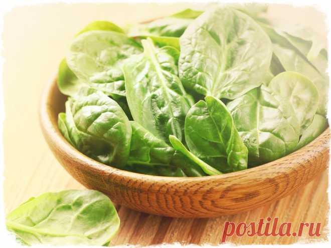 Чем полезен шпинат для нашего здоровья и красоты?