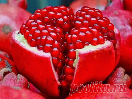 Самые полезные семечки и зёрна
