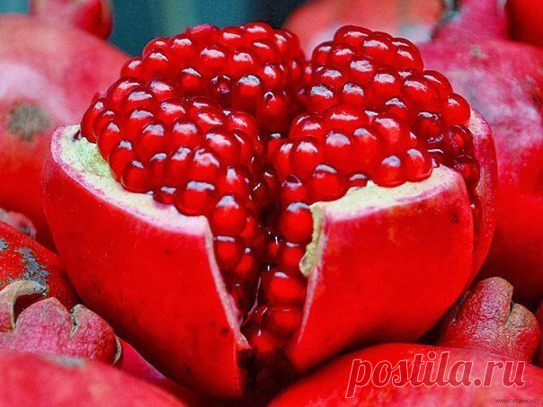 Самые полезные семечки и зёрна