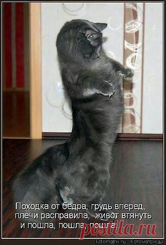 ((((Положительное Настроение))))
Петр Рубашкин