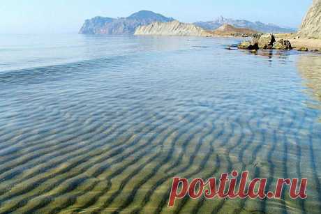 (1) Одноклассники