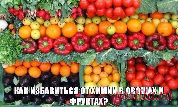 КАК ИЗБАВИТЬСЯ ОТ ХИМИИ В ОВОЩАХ И ФРУКТАХ?