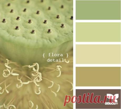 (765) Pinterest: инструмент для поиска и хранения интересных идей