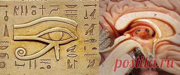 шишковидная железа активация