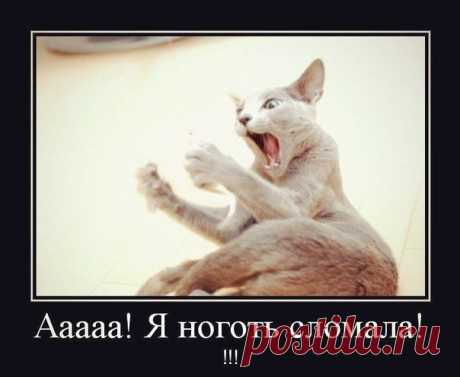 Женский клуб &quot;Каблучок&quot;