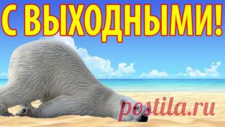 Поиск в Google