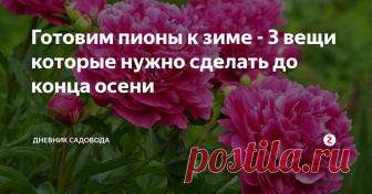 Готовим пионы к зиме - 3 вещи которые нужно сделать до конца осени Октябрь и ноябрь - это время когда пришла пора готовить участок к зиме, сегодня я расскажу вам о том как подготовить пионы к холодам.
Хоть пионы и являются многолетними цветами, которые отличаются свой неприхотливостью и устойчивостью к холодам, всё равно нужно выполнить ряд агротехнических мероприятий, чтобы в следующем году насладиться их красотой сполна.
И так приступим:
Подкормка