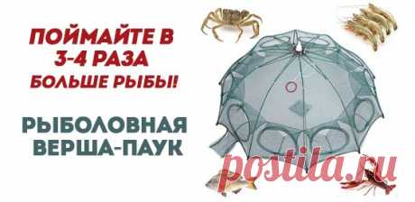 "Опусти стакан"--притча