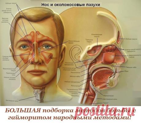 (6) Одноклассники