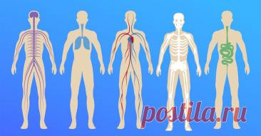 Полный список работающих лекарств, которые должны быть в доме. Сосудистые препараты — если в доме есть пожилые люди. — Journal women❜s