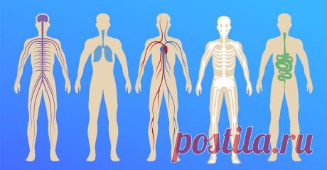 Полный список работающих лекарств, которые должны быть в доме. Сосудистые препараты — если в доме есть пожилые люди. - Женский Журнал У каждого человека в доме наверняка есть аптечка. У кого-то это специальный шкафчик или коробка, у других — просто полиэтиленовый пакет с лекарствами. Состав домашней аптечки часто оставляет желать лучшего: там хранится масса лекарств, которые остались от перенесенных заболеваний, попадаются таблетки с истекшим сроком годности и без упаковки...