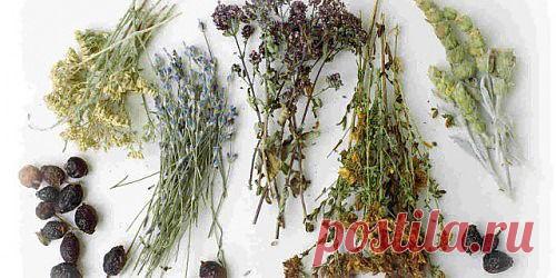 ЗАГОВОРЫ НАРОДНЫЕ ПРИМЕТЫ: Магия Трав.