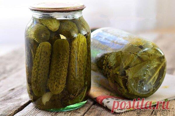 Маринуем огурцы. Как добиться хрустящих огурчиков. Секрет 80-летней пенсионерки | Огородный садовик | Яндекс Дзен