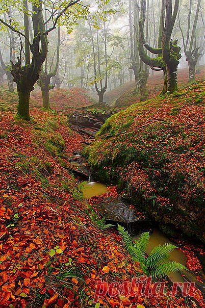 без комментариев