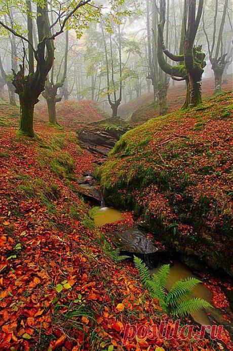 без комментариев