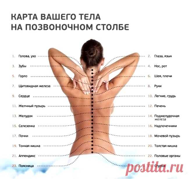 Система здоровья Кацудзо Ниши