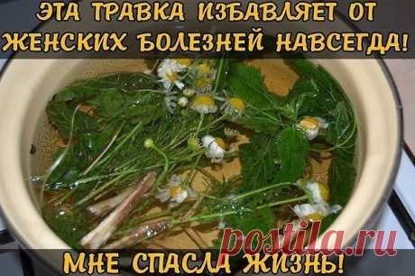(74) Одноклассники