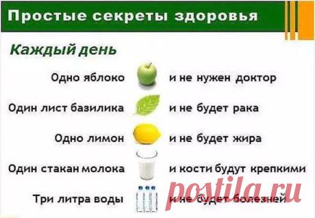 33 совета для здоровья на каждый день | Хозяин и Хозяюшка