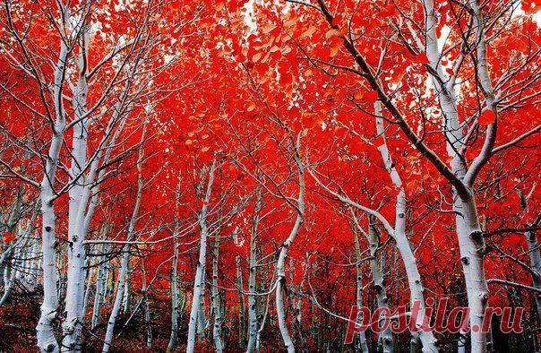 Мне нравится!